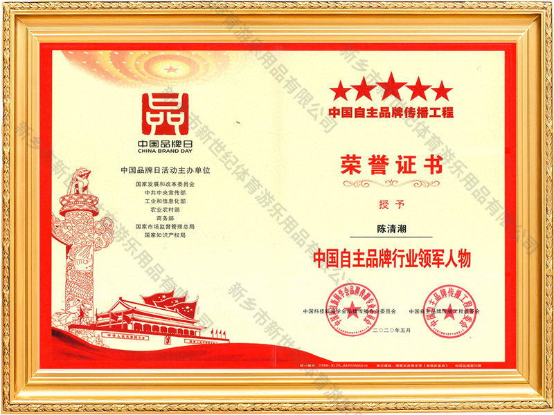 中国自主品牌行业领军人物