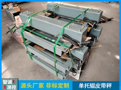 單托輥皮帶秤