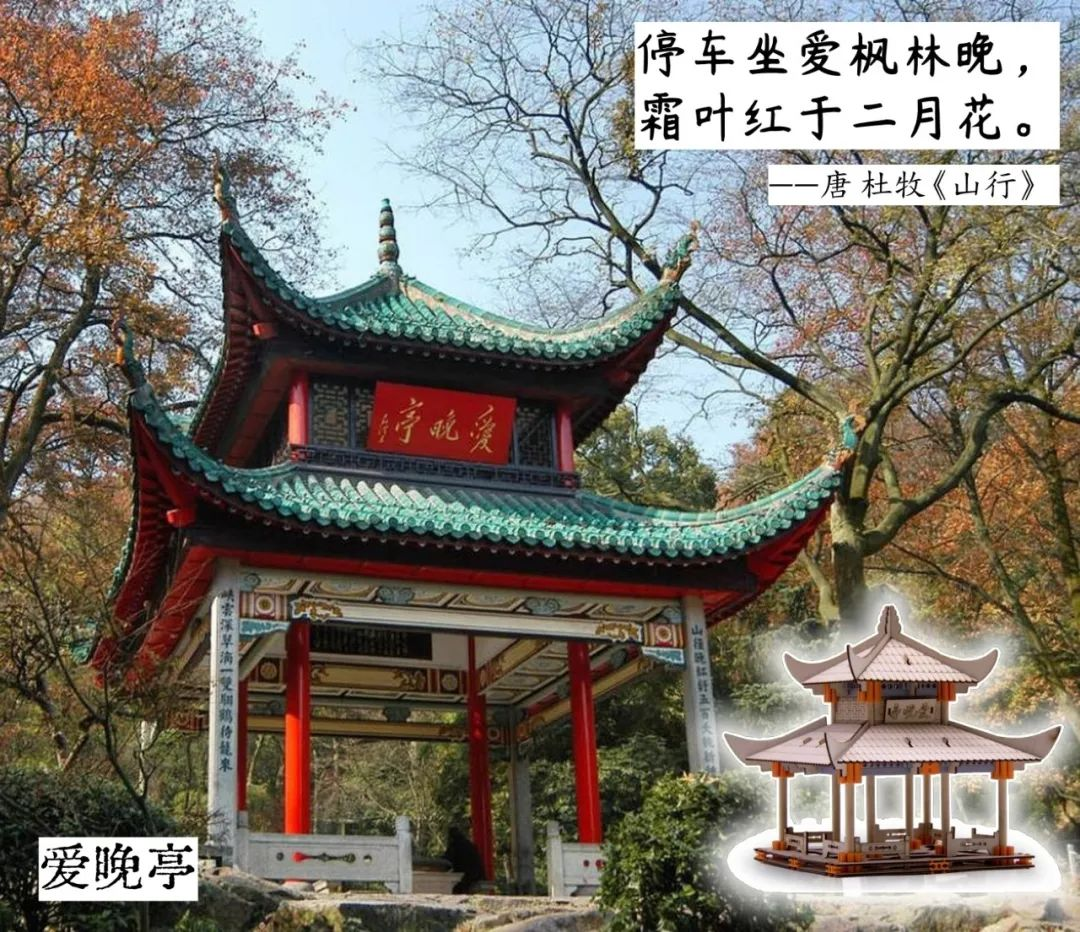 图片11.png