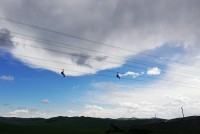 空中溜索