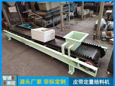 皮带定量给料秤