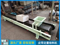 皮带定量给料秤