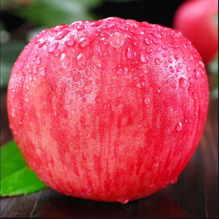 Red Fuji Apple