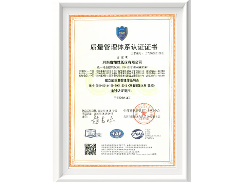 质量管理体系认证证书