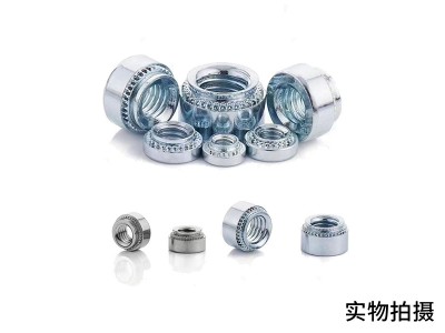 压铆螺母