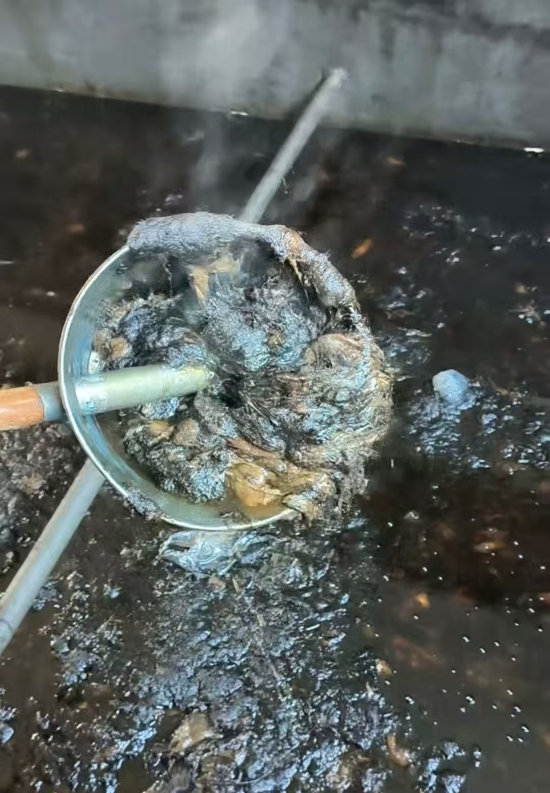 9f39eebfae56ca956b005ff329a40f88