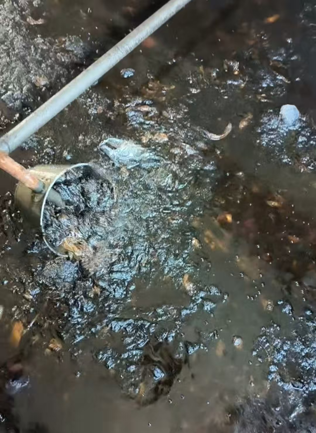 e3cbb59850cfa3efcb9d222fb998349a