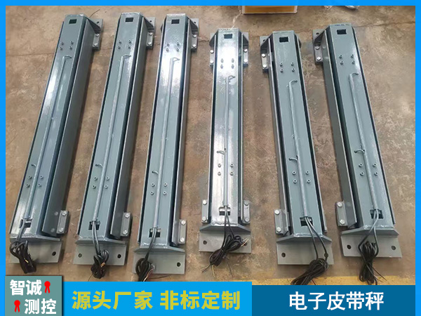 皮带秤定制