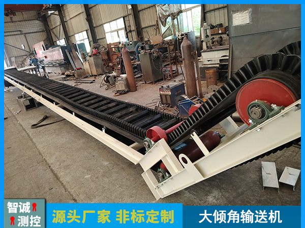 湖北定制大倾角输送机