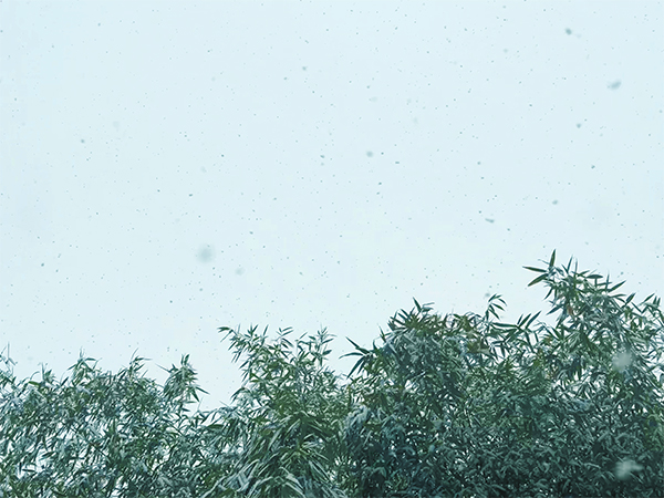 雪天機械運維技術解析：振動篩低溫穩定運行的 4 大核心技術方案