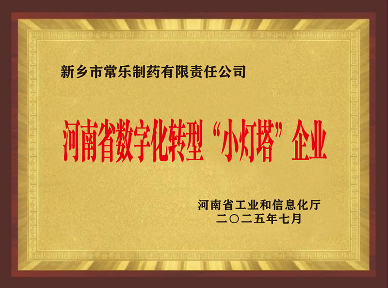 河南省数字化转型“小灯塔”企业