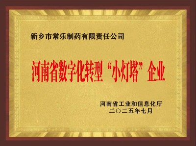 河南省数字化转型“小灯塔”企业