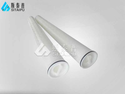 纯化水保安滤芯