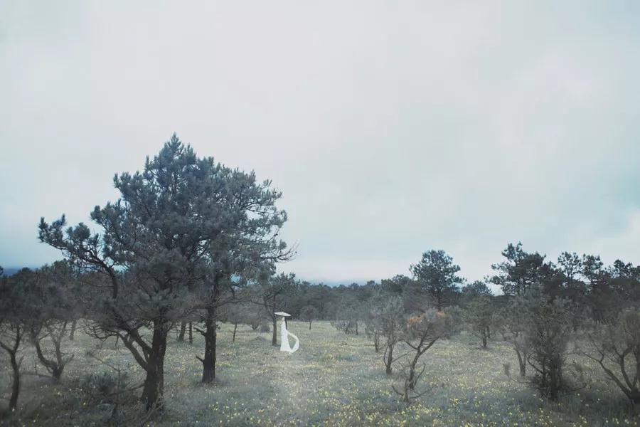 _20191012155045.jpg