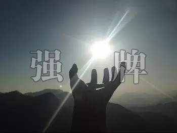 clip_image001.jpg