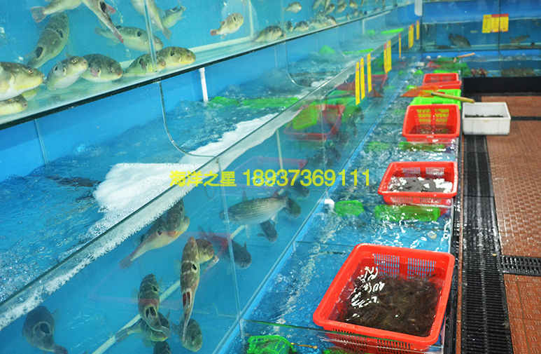 餐厅海鲜池 餐厅海鲜池