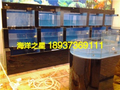 酒楼海鲜池 酒楼海鲜池