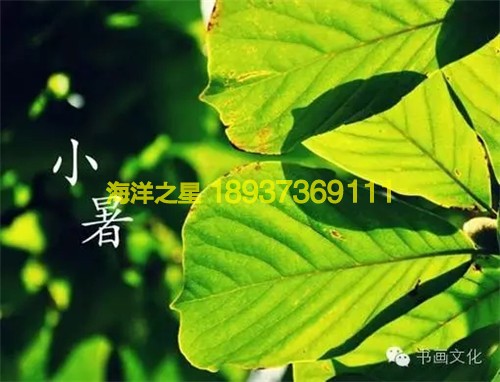 饭店海鲜池