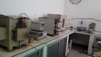 Assay System