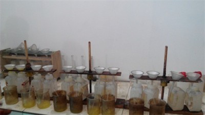 Assay System