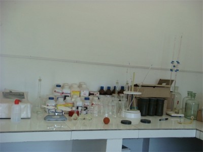 Assay System