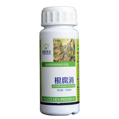 根腐消