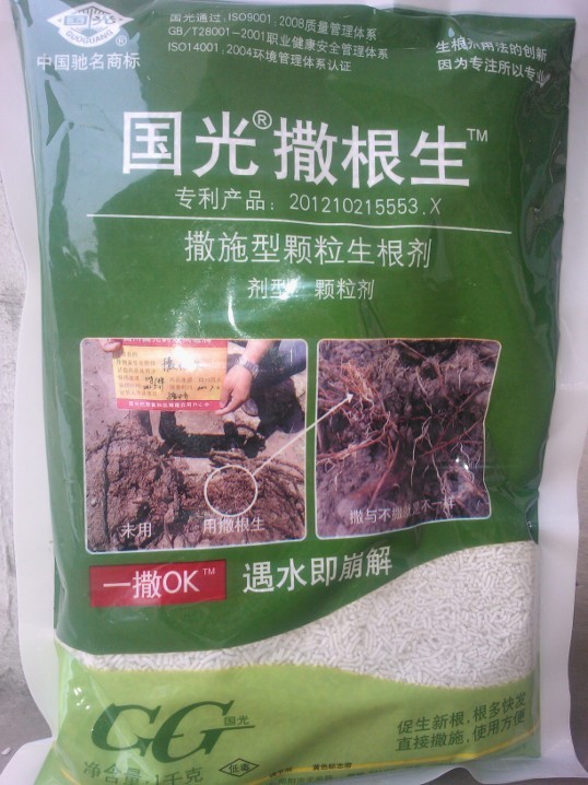 安阳国光 生根粉