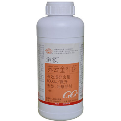 道领1L