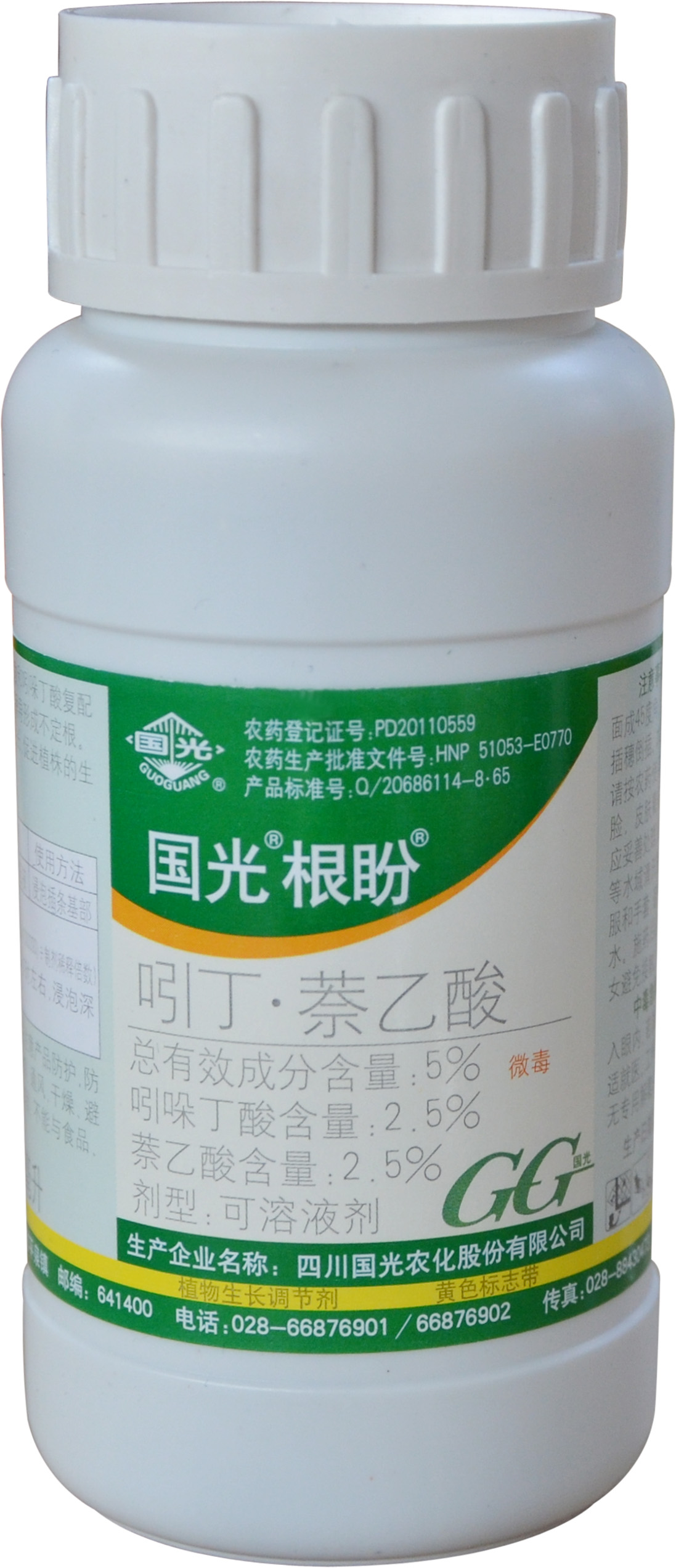 根盼