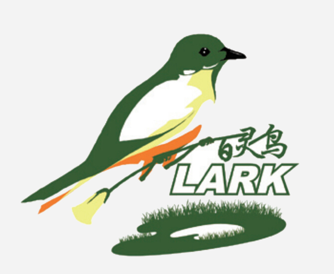 多年生黑麦草---百灵鸟