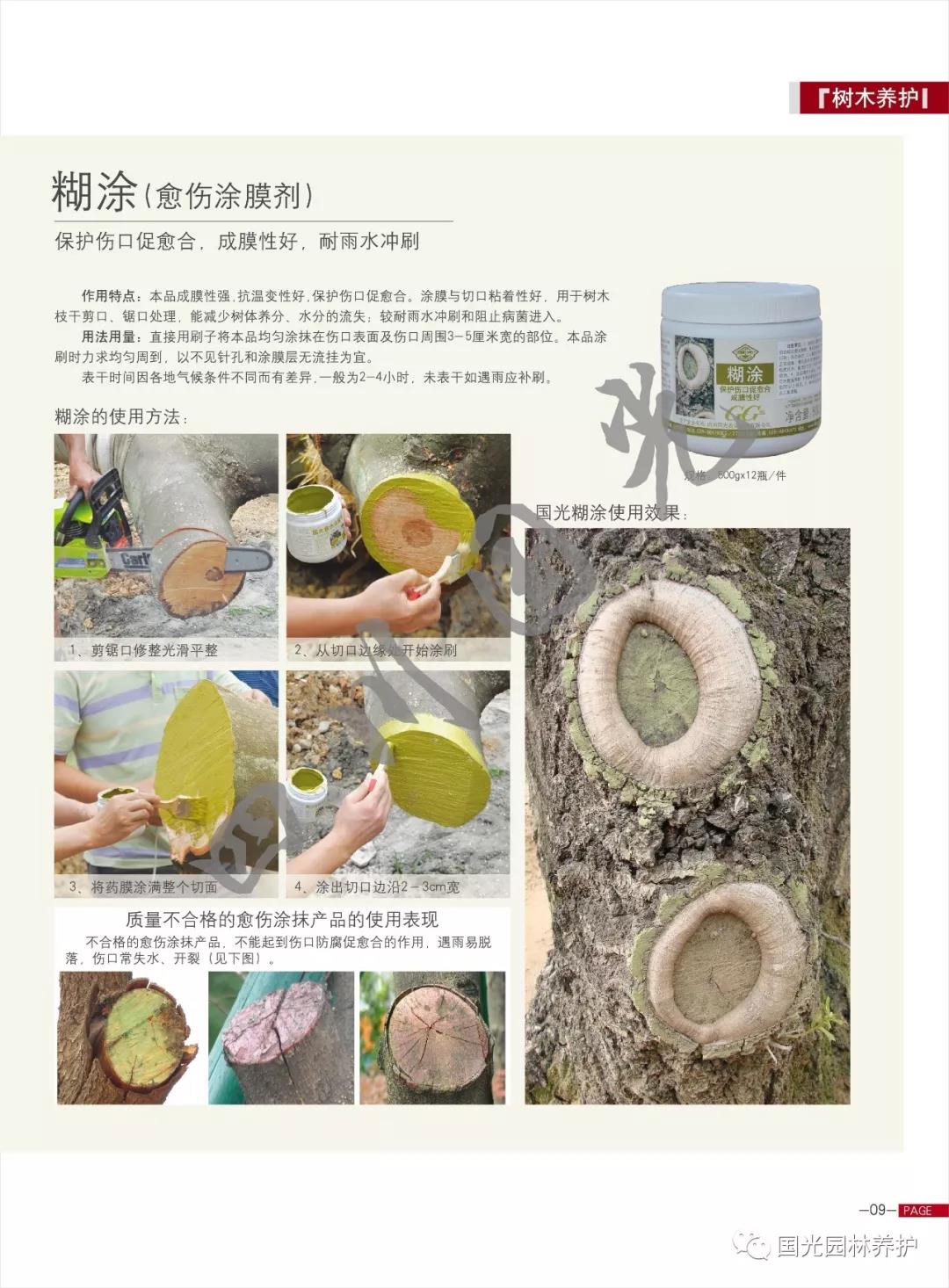 国光糊涂