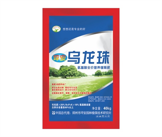 坪安乌龙珠