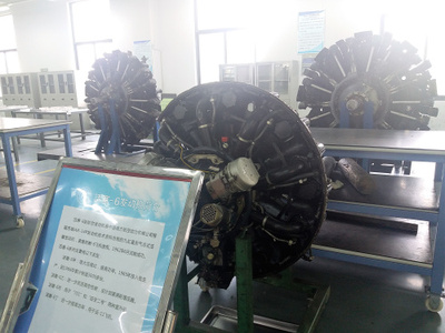 实践型教学模式