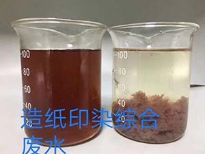 造纸印染综合废水