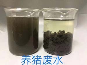 养猪废水