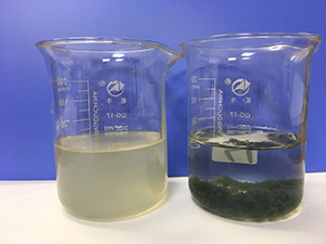 食品加工行业废水处理