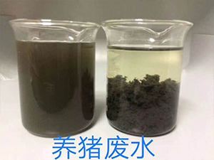 养猪场废水处理