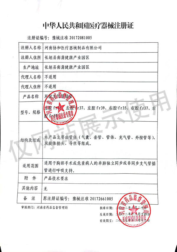 双腔支气管插管