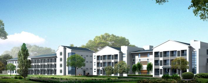 禄丰县养老服务综合体建设项目