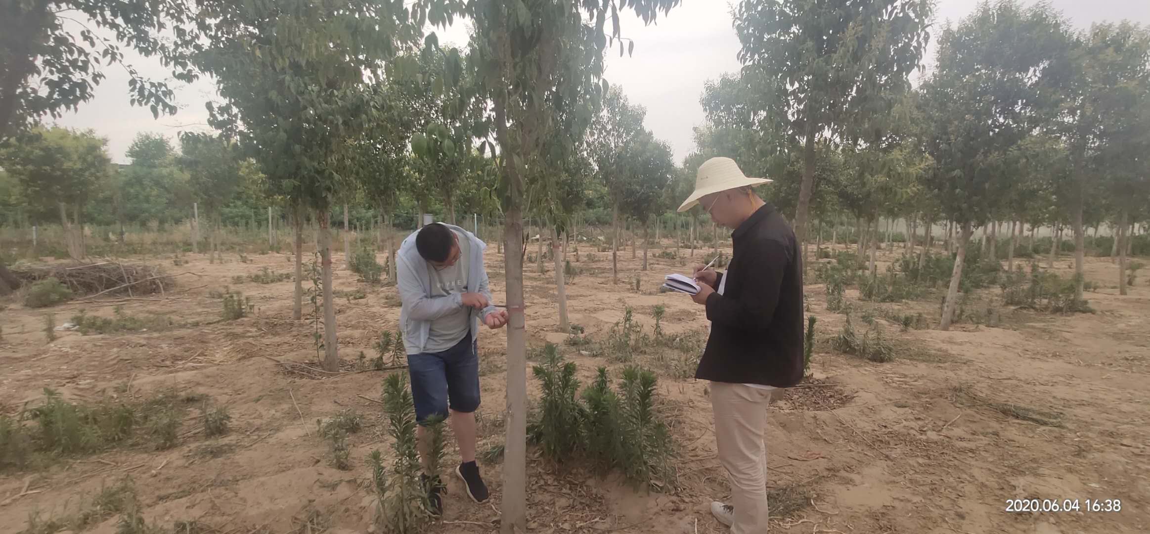 a57a5979bf0e099046de2a62ebcd7d1