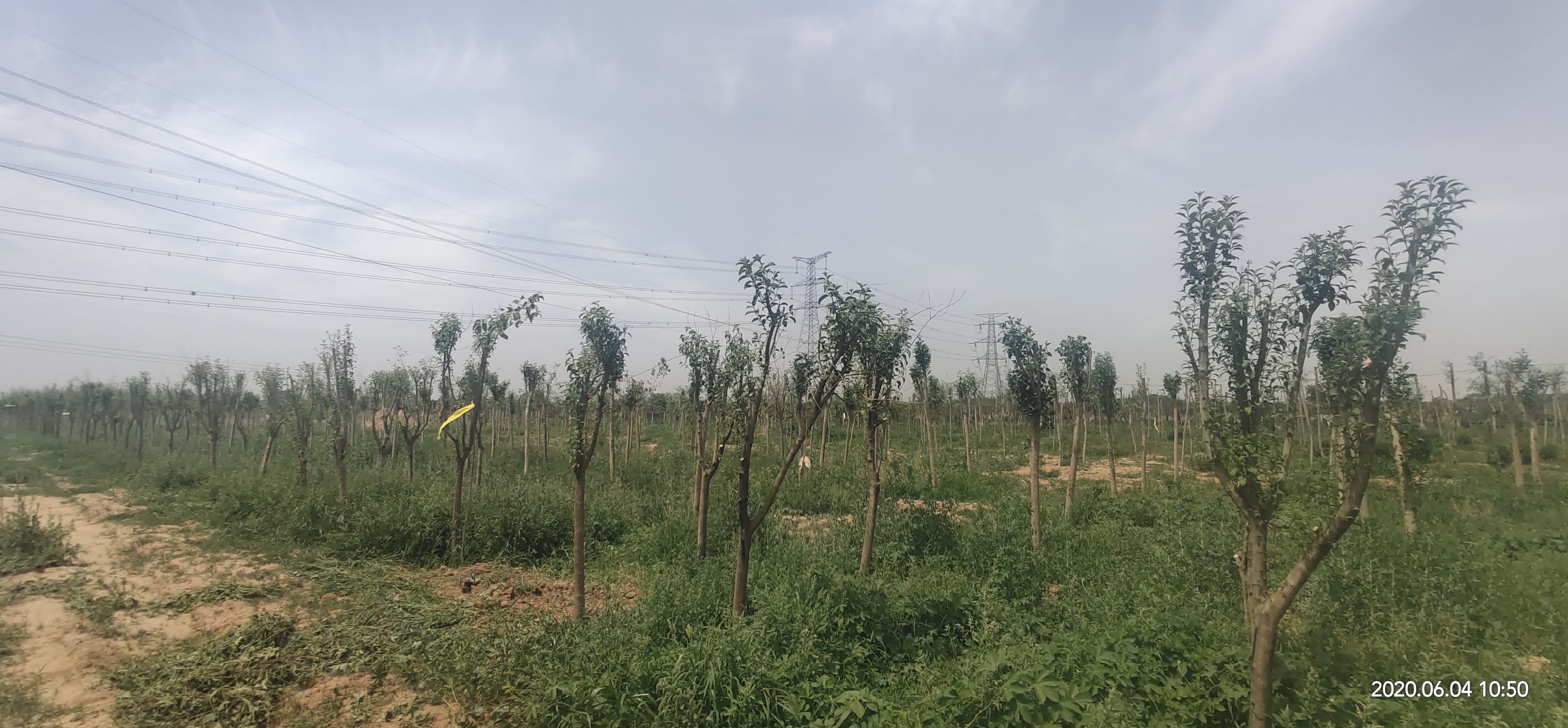 d924f92f96583f00ca527a8522cc1f9