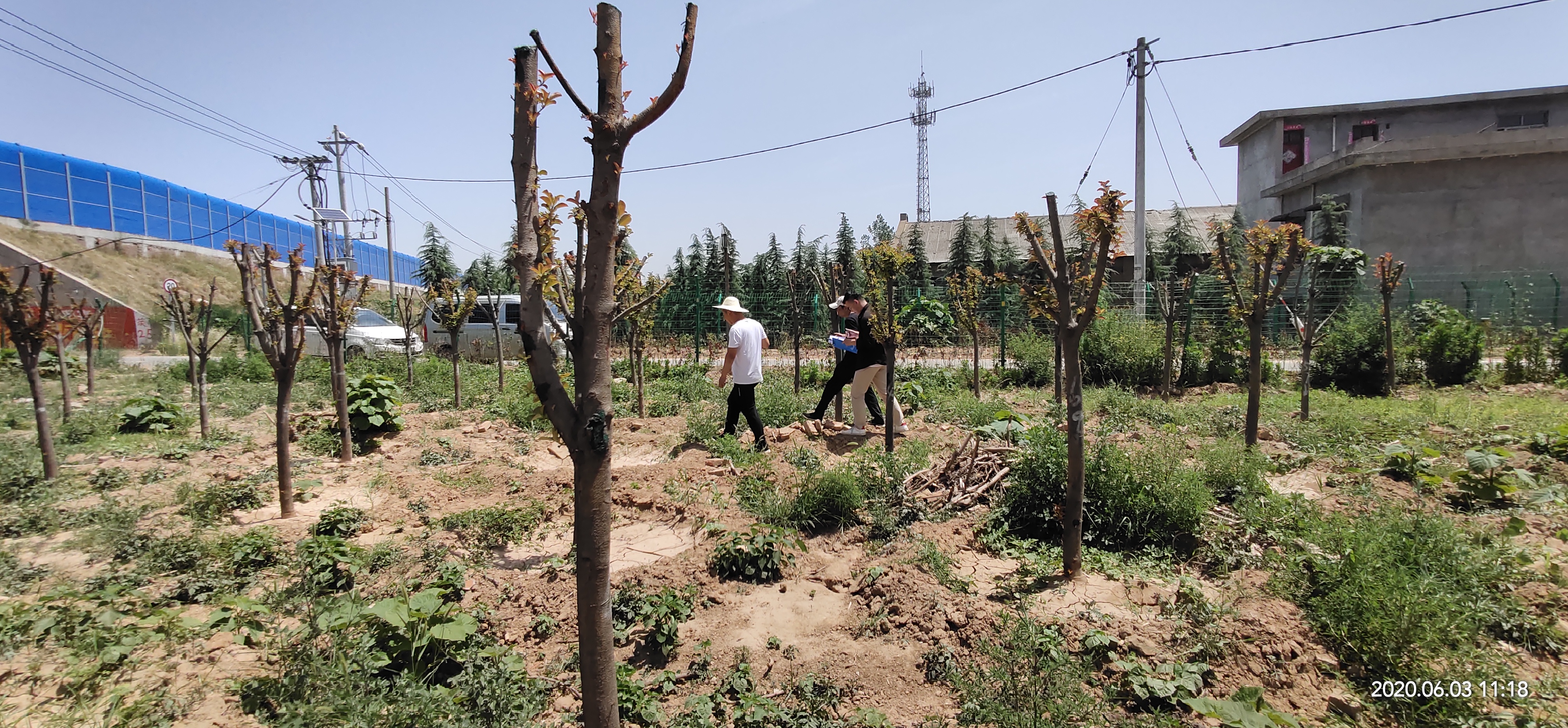 557aabf796943bb295079ec30024e6a