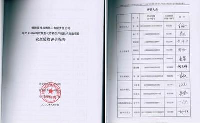 安全验收报告