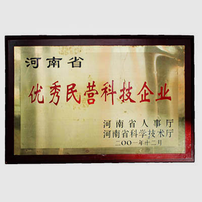 ******民营科技企业