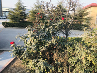 企业风采