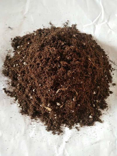 白芨育苗驯化基质
