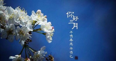 中企电子商务||2021.2月刊