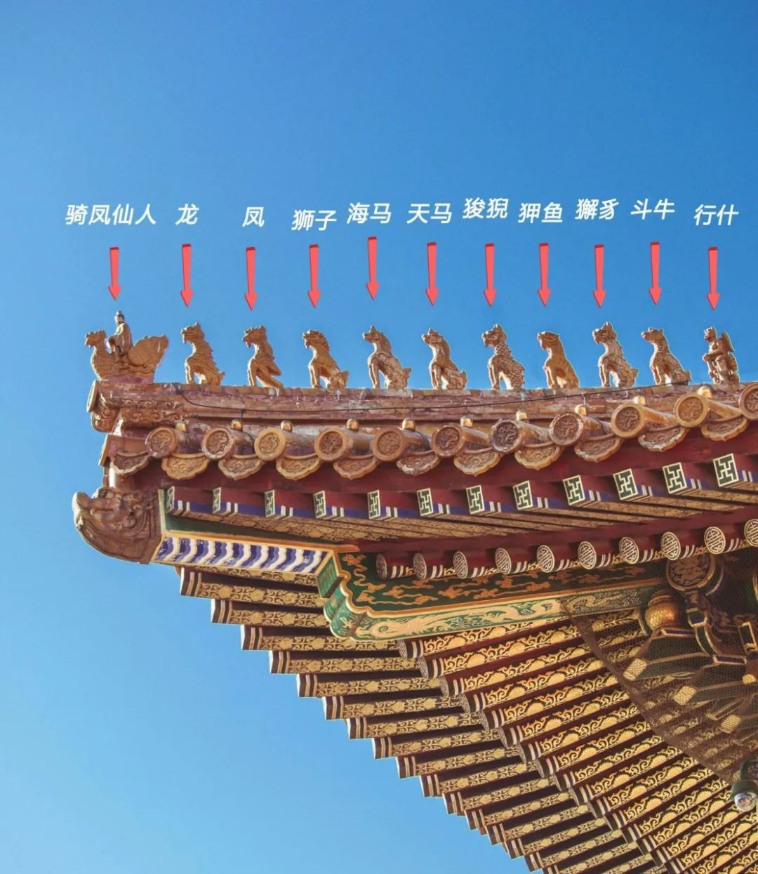 图片8 图片8.png
