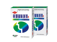草珊瑚味薄荷糖片