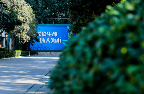 厂容厂貌